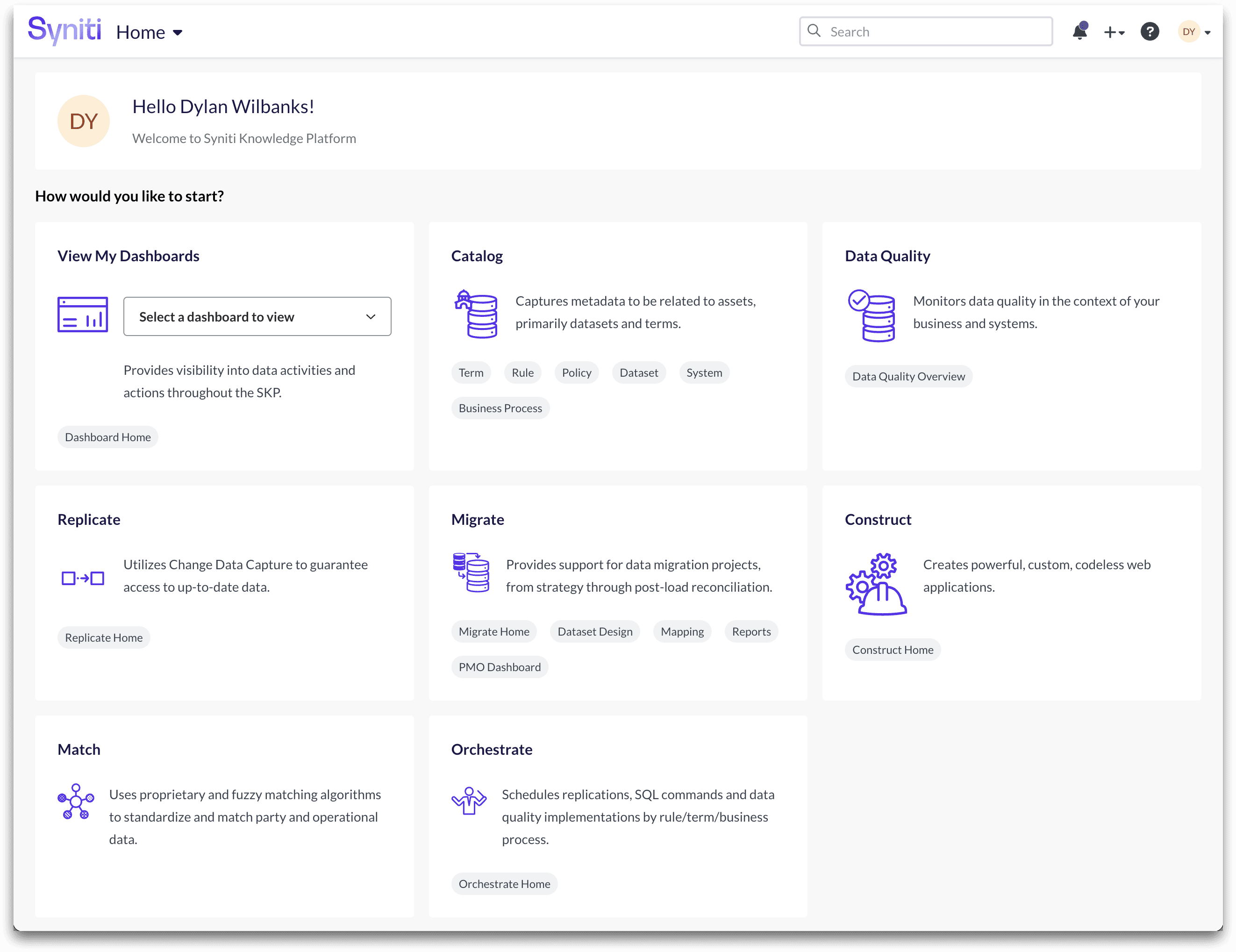 Syniti Knowledge Platform interface